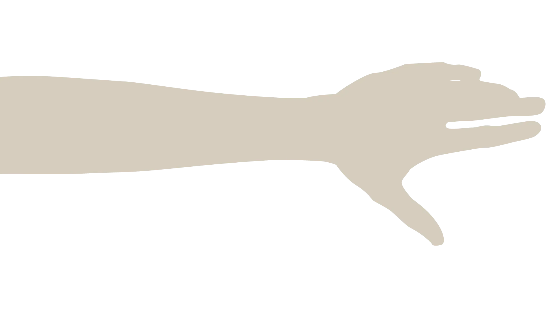 手