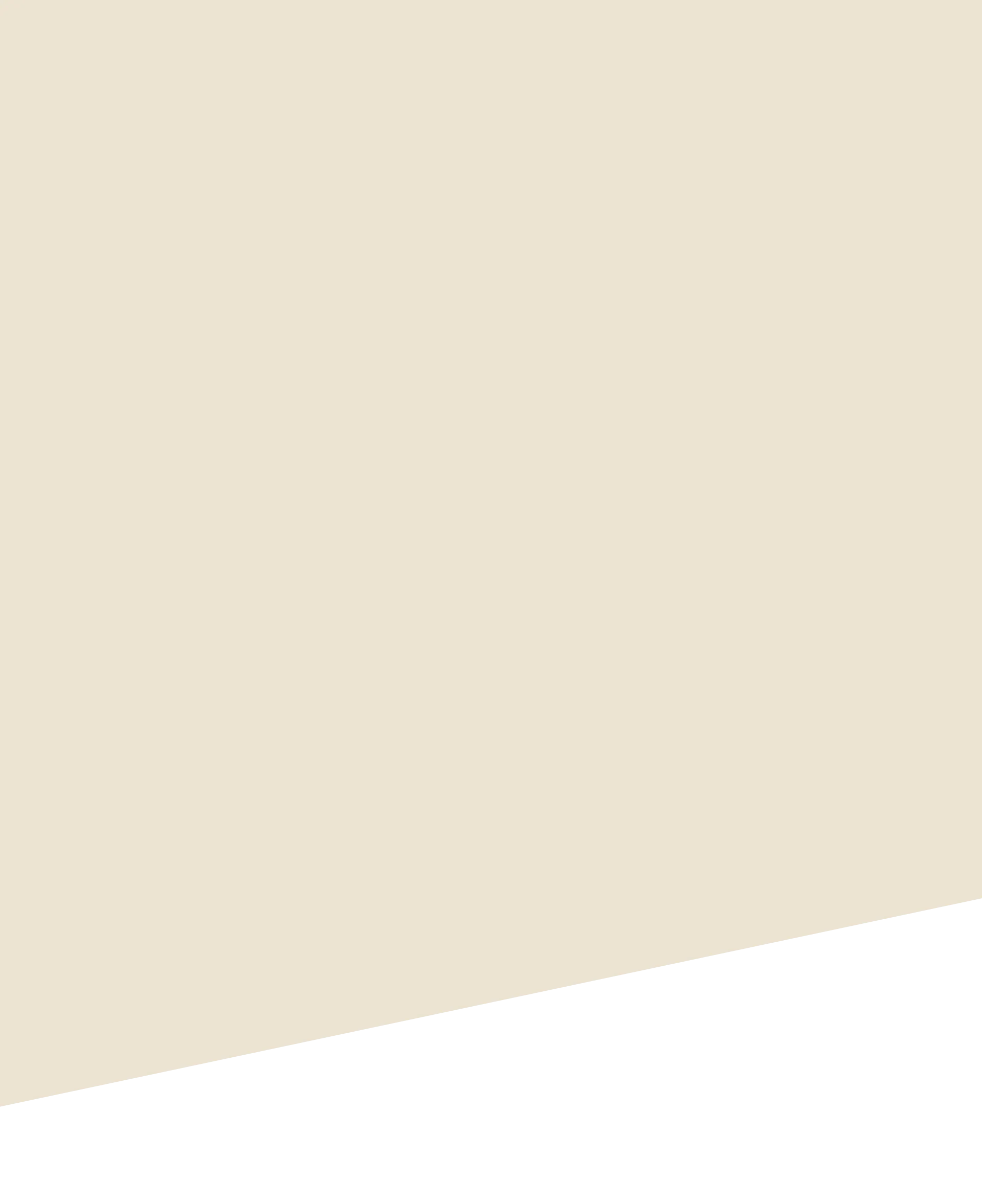 背景